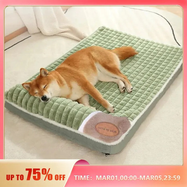 Cushioned Dog Bed